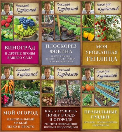 Обложка Николай Курдюмов - Сборник 8 книг (RTF, FB2)