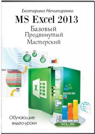Обложка MS Excel 2013. Базовый, Продвинутый, Мастерский (Обучающие видео-уроки)