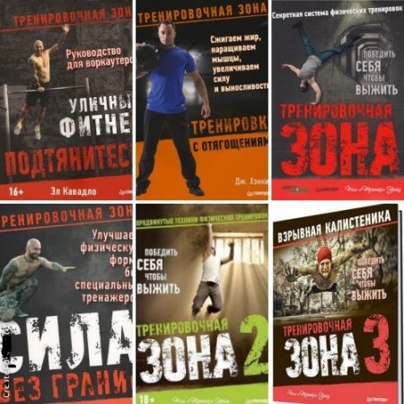 Обложка Тренировочная зона - Серия 10 книг (2014-2017) DjVu, PDF