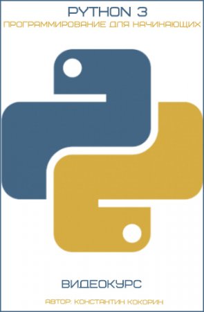 Обложка Python 3 - программирование для начинающих (2017) Видеокурс