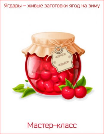Обложка Ягдары – живые заготовки ягод на зиму (Мастер-класс)