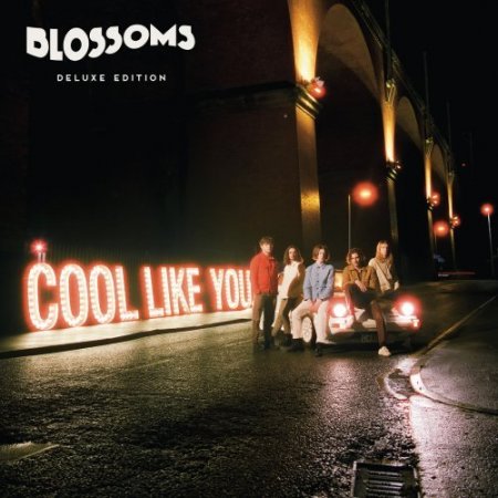 Обложка Blossoms - Cool Like You (2CD) (Deluxe Edition) (2018) FLAC