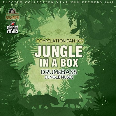 Обложка Jungle In A Box (2019) Mp3