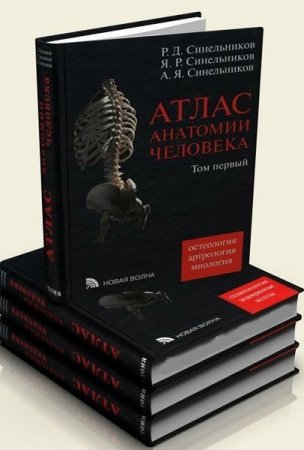 Обложка Атлас анатомии человека в 4 томах (2009-2010) PDF