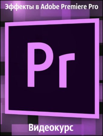 Обложка Эффекты в Adobe Premiere Pro (2019) Видеокурс