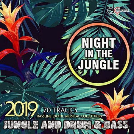 Обложка Night In The Jungle (2019) Mp3