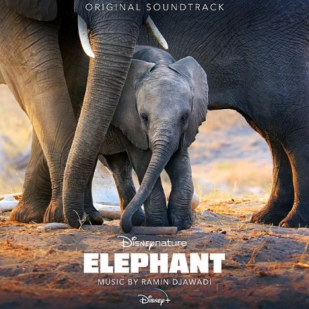Обложка Ramin Djawadi - Elephant (Original Soundtrack) Mp3