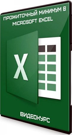 Обложка Прожиточный минимум в Microsoft Excel (2020) Видеокурс