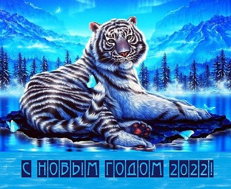 Обложка С Новым 2022 Годом!