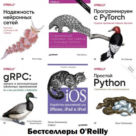 Обложка Бестселлеры O'Reilly в 104 книгах (PHP, MySQL, JavaScript, CSS и HTML5, jQuery, C) (2008-2022) PDF, DJVU, FB2