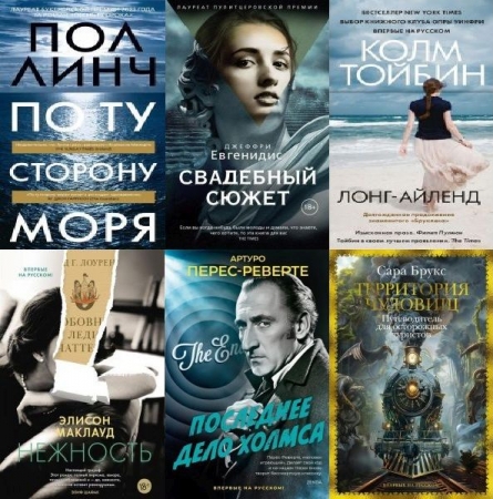 Обложка Большой роман в 195 книгах (2015-2024) FB2